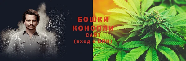 гидра Балахна