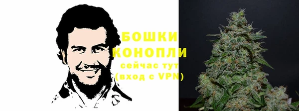 гидра Балахна