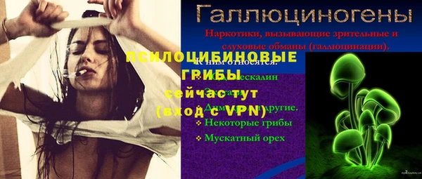 гидра Балахна