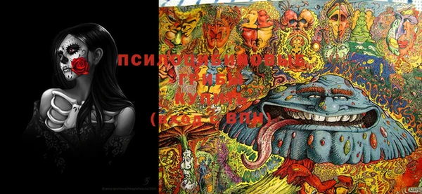 PSILOCYBIN Арсеньев