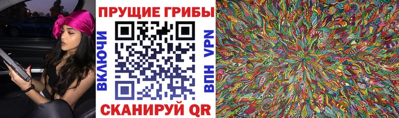 сколько стоит  Кировск  Псилоцибиновые грибы Magic Shrooms 