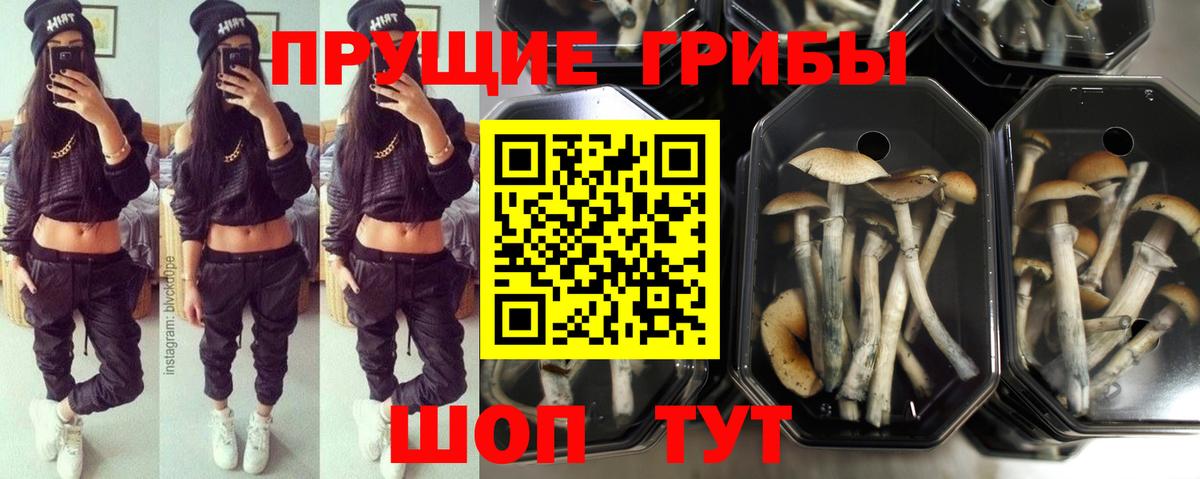 Кировск  Галлюциногенные грибы Magic Shrooms  Вход с VPN  Галлюциногенные грибы прущие грибы 